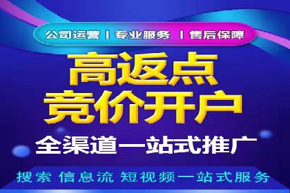 行业领先企业的sem竞价托管代运营策略